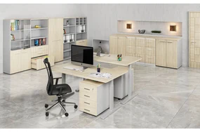Šatníková skriňa s výsuvom PRIMO GRAY, 800 x 420 x 1781 mm, sivá/dub prírodný
