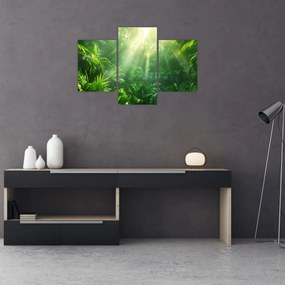 Obraz - Dažďový prales (90x60 cm)