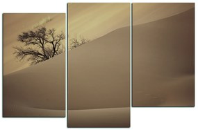 Obraz na plátne - Červené piesočné duny 1133FD (120x80 cm)