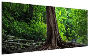 Obraz - Starý strom s koreňmi (120x50 cm)