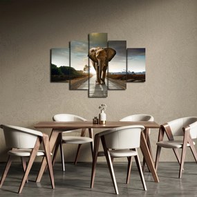 Obraz slona (150x105 cm)