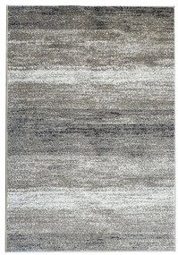 Koberec Frisee Phoenix 0,8/1,5 3004 744