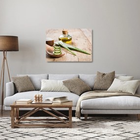 Sklenený obraz - Aloe vera (70x50 cm)