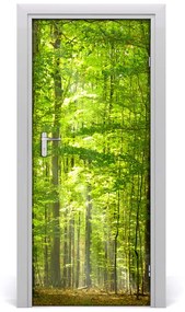 Fototapeta na dvere bukový les 75x205 cm