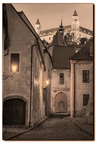 Obraz na plátne - Bratislava staré mesto s hradom vzadu - obdĺžnik 7265FA (100x70 cm)