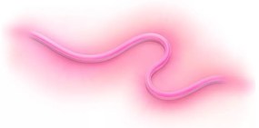 WiZ - LED RGBW Stmievateľný vonkajší pásik 5m LED/24W/230V 2700-5000K Wi-Fi IP65