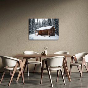 Obraz - Zasnežená chata (70x50 cm)