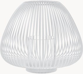 Lampáš Lyva