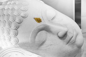 Obraz - Biely Budha (90x60 cm)