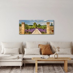 Obraz - Levanduľové cesty (120x50 cm)