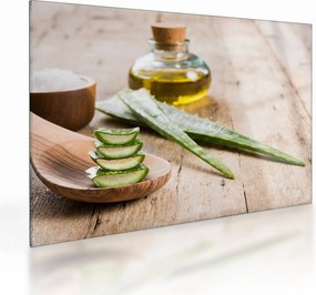 Sklenený obraz - Aloe vera (70x50 cm)