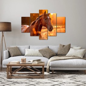 Obraz - Kôň v západe slnka (150x105 cm)