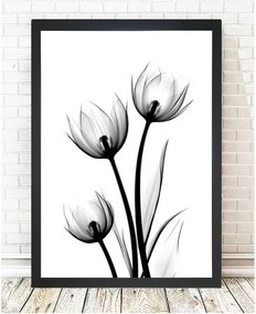 Obraz Tablo Center Scented Flowery, 24 × 29 cm
