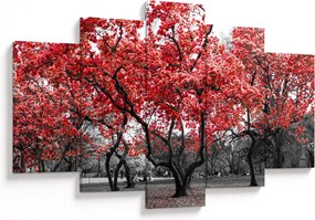 Obraz - Červené stromy, Central Park, New York (150x105 cm)