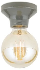 Orion - Stropné svietidlo FROST 1xE27/60W/230V sivé