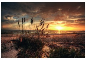 Samolepiaca fototapeta západ slnka na pláži