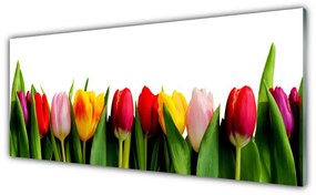 Obraz na akrylátovom skle Tulipány rastlina 125x50 cm