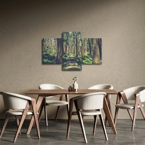 Obraz cesty medzi stromami (90x60 cm)