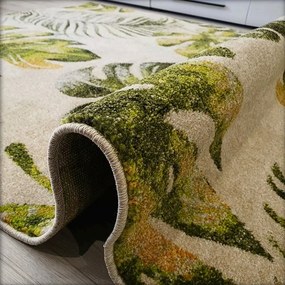 Koberec Green Garden 714 s motívom listov – viacfarebný Rozmer: 80x150 cm