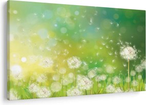 Obraz - Odkvitnuté púpavy (90x60 cm)