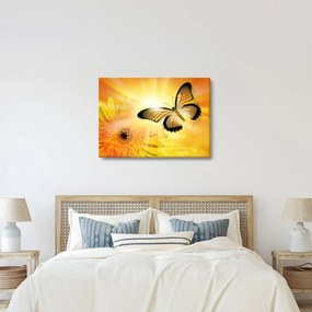 Obraz - Žltý motýľ s kvetom (70x50 cm)