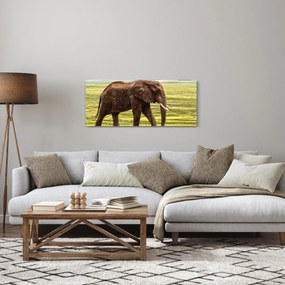 Obraz slona (120x50 cm)