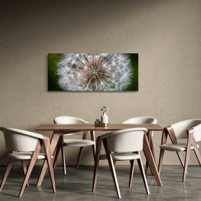 Obraz púpavy (120x50 cm)