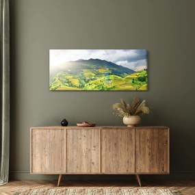 Obraz plantáže (120x50 cm)