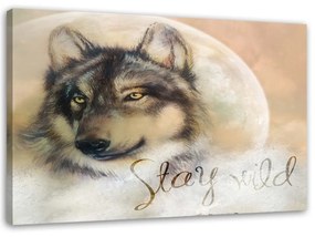 Obraz na plátně Vlk Zvíře Příroda Béžová - 60x40 cm