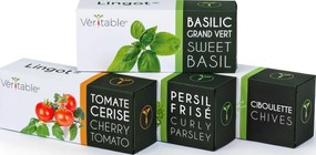 Kapsule so semienkami Lingot jedlé kvety floxy