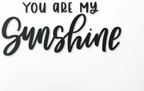 drevko Nápis na stenu You are my sunshine Rozmer obrazu: 19 x 42,5 cm, Farba dekorácie: Čierna