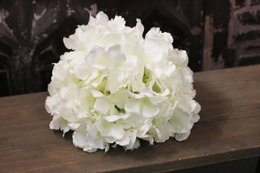 Biela hortenzia hlava 20cm