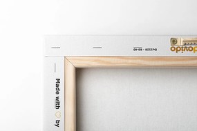 Obraz mapa sveta s pútavými nápismi