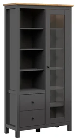 Vitrína BRW Hesen REG1W2S/20/11 (s LED osvetlením) (grafit + dub artisan). Vlastná spoľahlivá doprava až k Vám domov. 1062527
