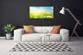 Obraz na plátne Lúka sedmokrásky príroda 120x60 cm