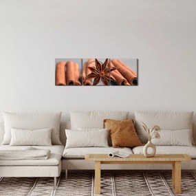 Obraz škorice (s hodinami) (90x30 cm)