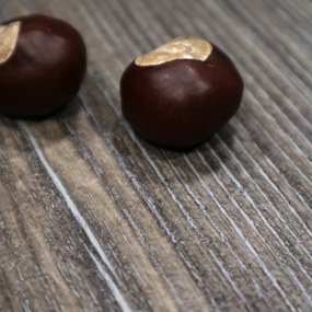 Beauflor, PVC podlaha - lino Texalino Supreme 696 D Barn Pine - borovica, na mieru, šíře 2m,3m,4m,5m, hnedá, filc, chodba / predsieň