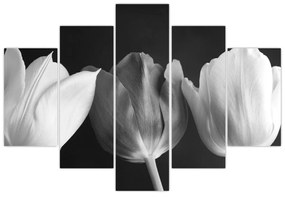 Obraz - Čiernobiele kvety tulipánov (150x105 cm)