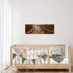 Obraz - Schody v prírode na jeseň (s hodinami) (90x30 cm)