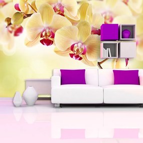 Sablio Tapeta Orchidea 2 - 336x220 cm