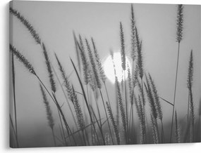 Obraz - Lúka pri západe slnka (70x50 cm)