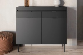 Komoda Sentia 105 cm s 2 zásuvkami - čierna / zlatá
