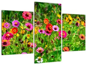 Obraz lúčnych kvetov (90x60 cm)