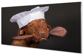 Obraz na akrylátovom skle Dog chef 120x60 cm