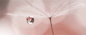 Obraz - Kvapka rosy (120x50 cm)