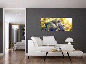 Obraz sovy na strome (120x50 cm)