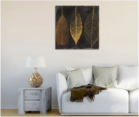 Obraz na plátne Autumn Leaves, 45 × 45 cm