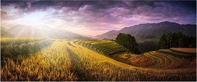 Obraz krajiny (120x50 cm)