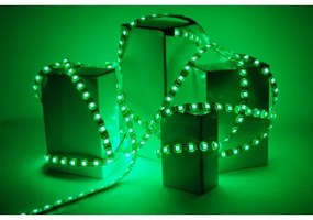 ECOLIGHT LED pásik - SMD 2835 - 5m - 60LED/m - 4,8 W/m - zelený - IP20 - s konektorom