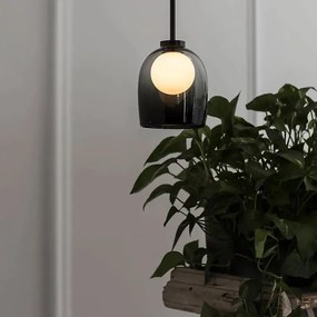 Toolight - stropná sklenená lampa G9 25W APP1026-1CP, čierna, OSW-09484